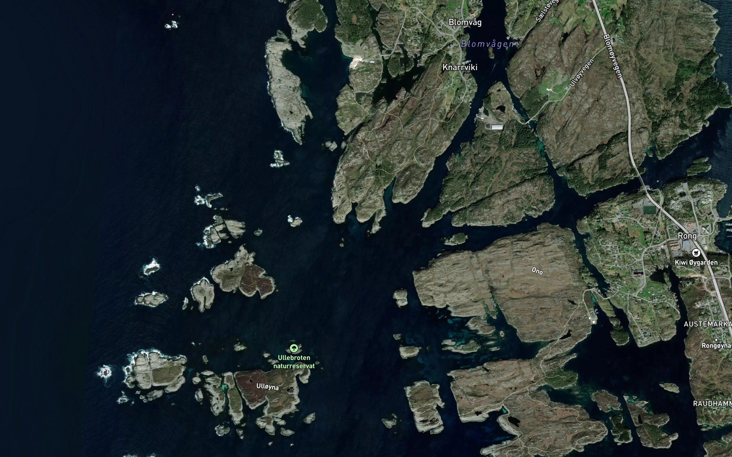 Grunnevika