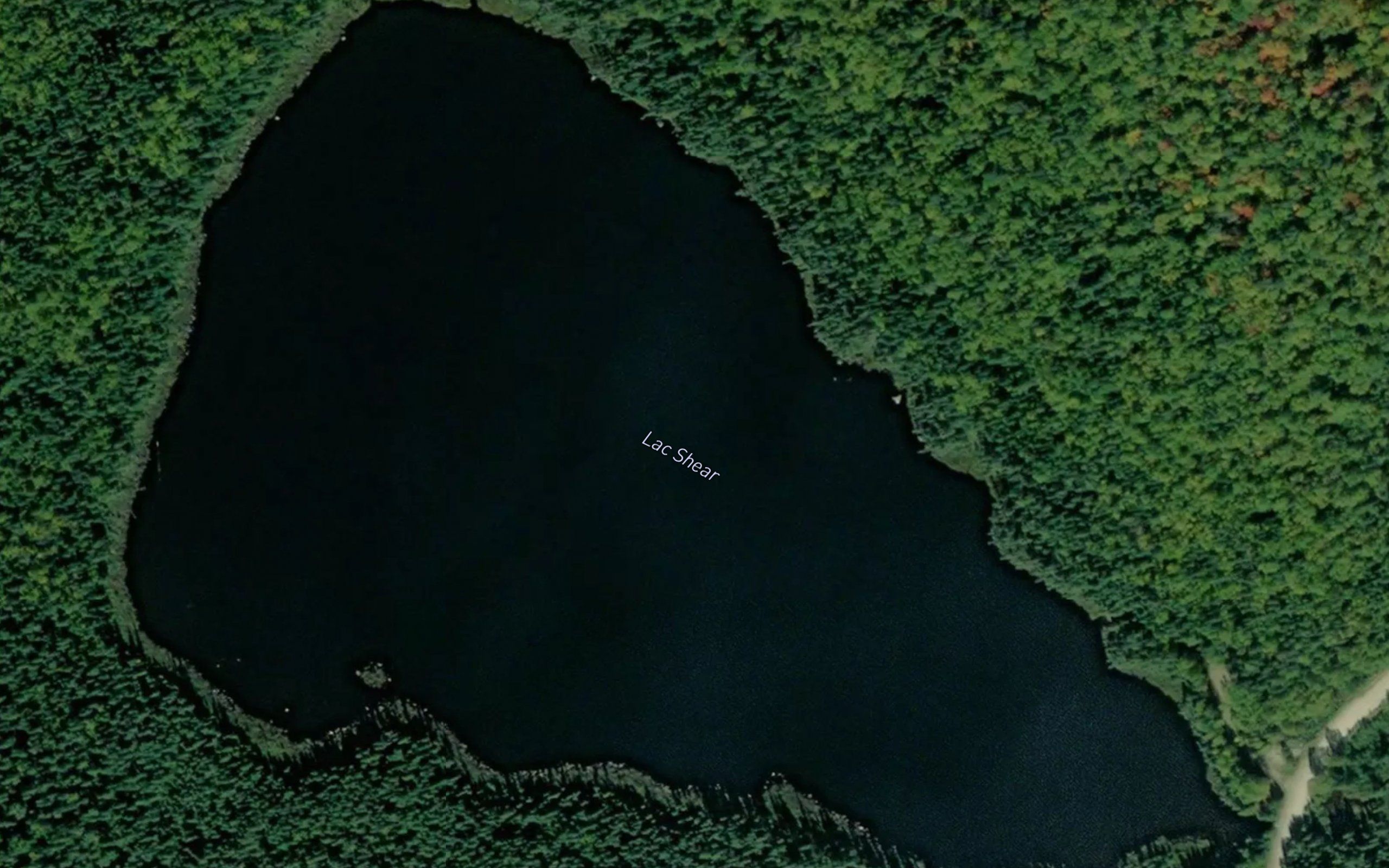Lac Shear