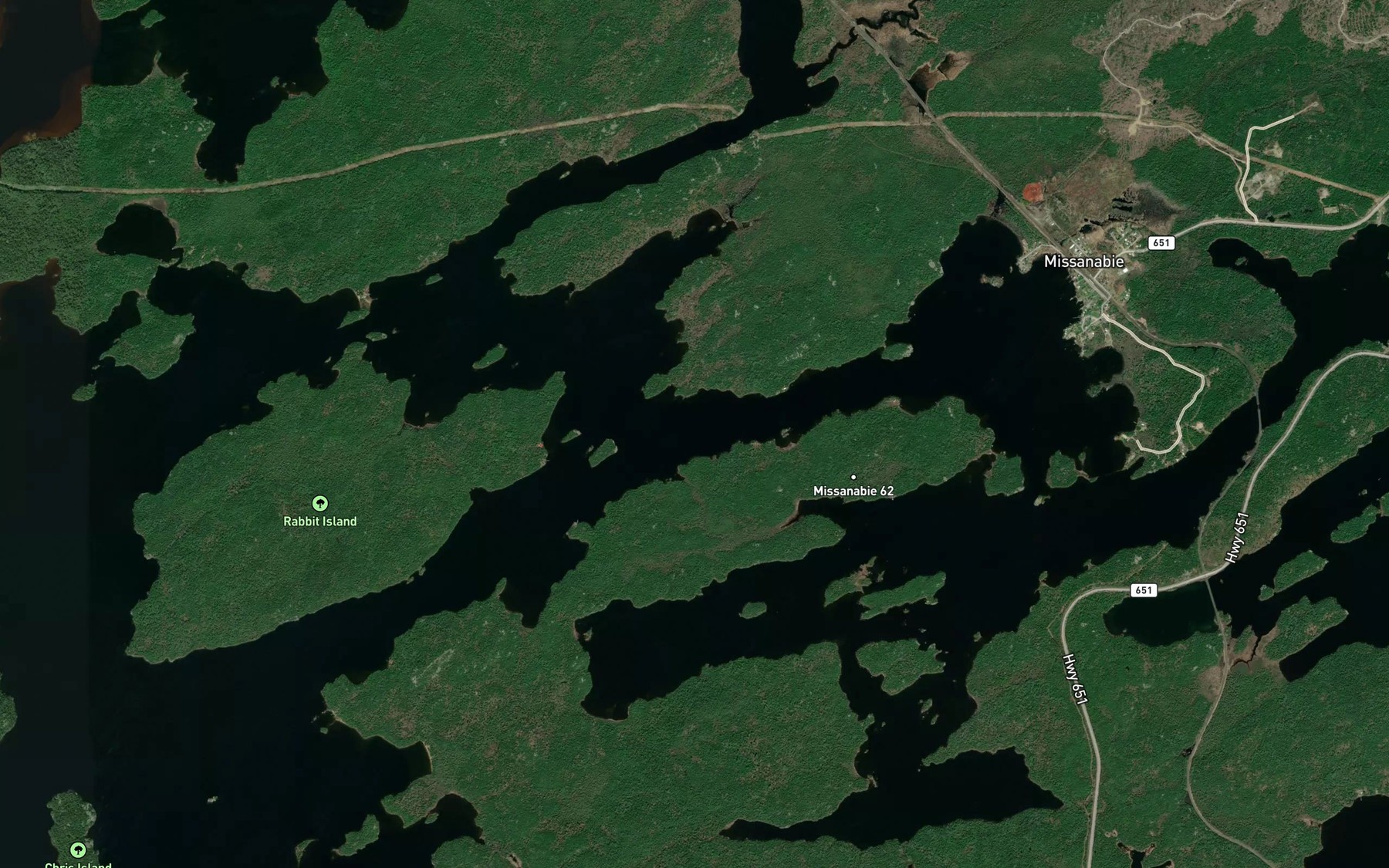 Satellite map of the Dog Lake