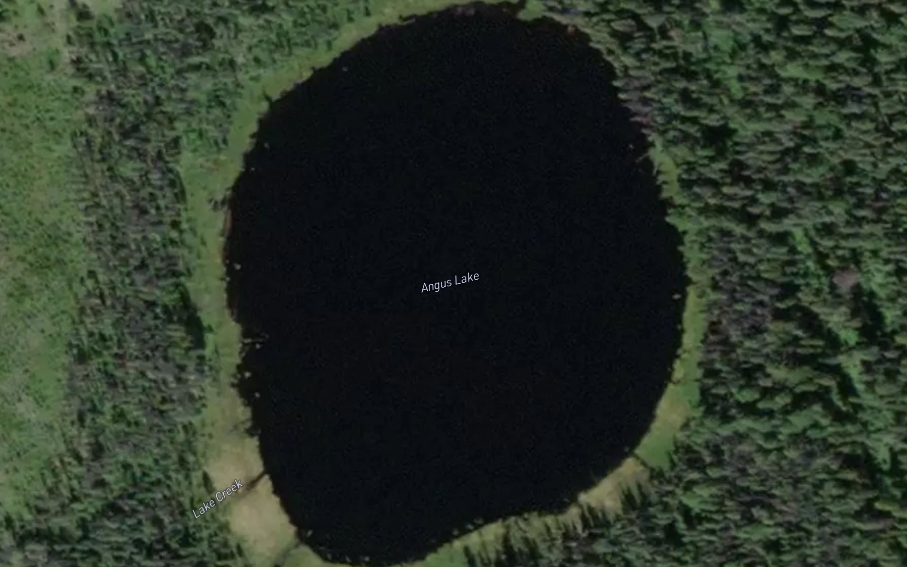 Satellite map of the Angus Lake