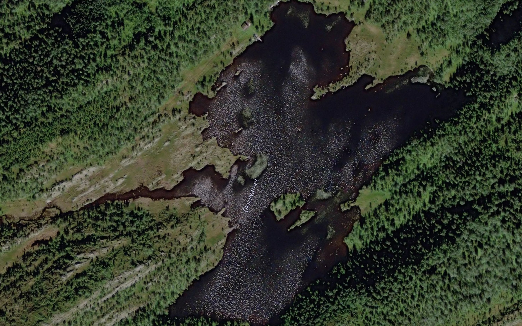 Satellite map of the Oksulvatnet