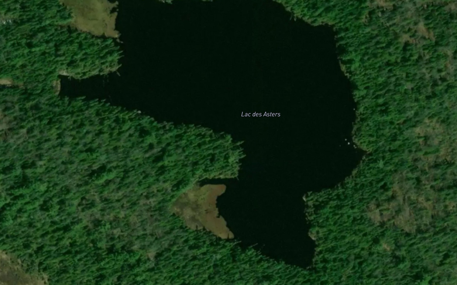 Satellite map of the Lac des Asters