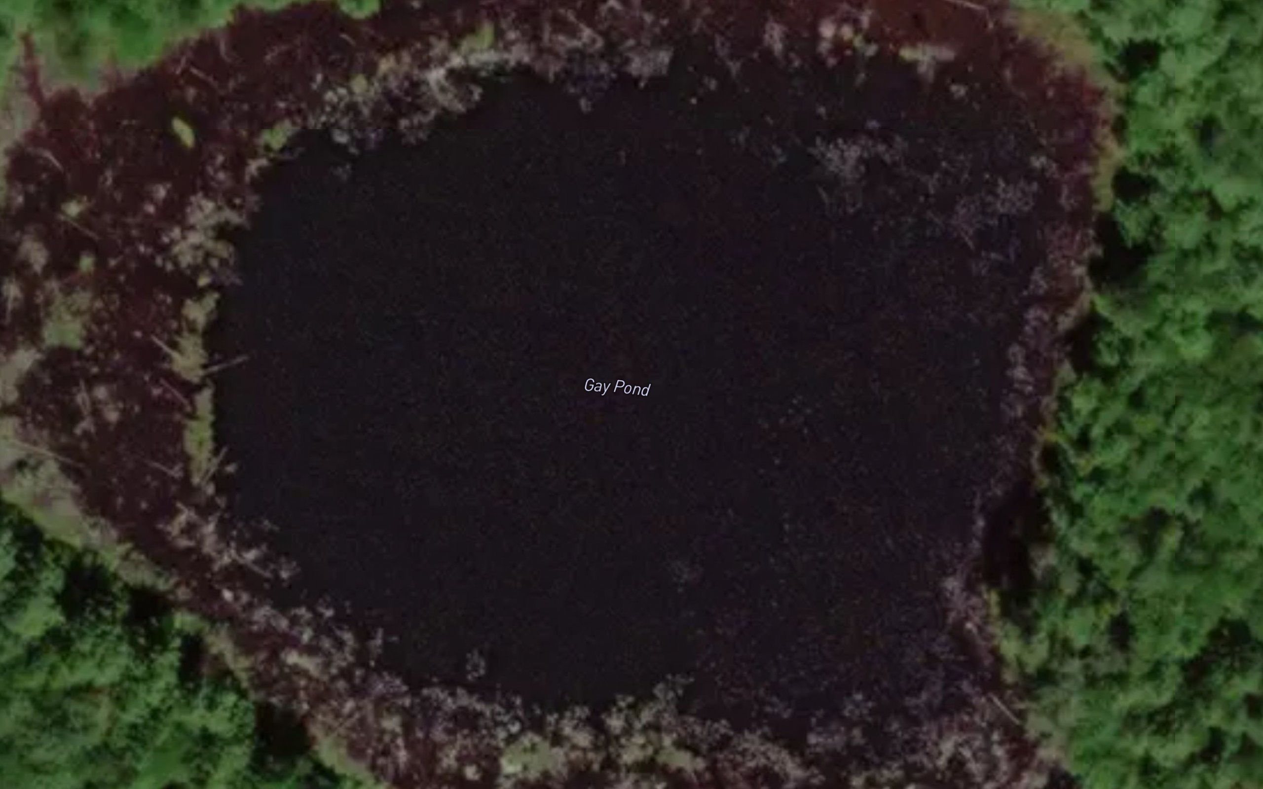 Gay Pond