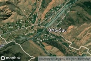 Orto-Suu