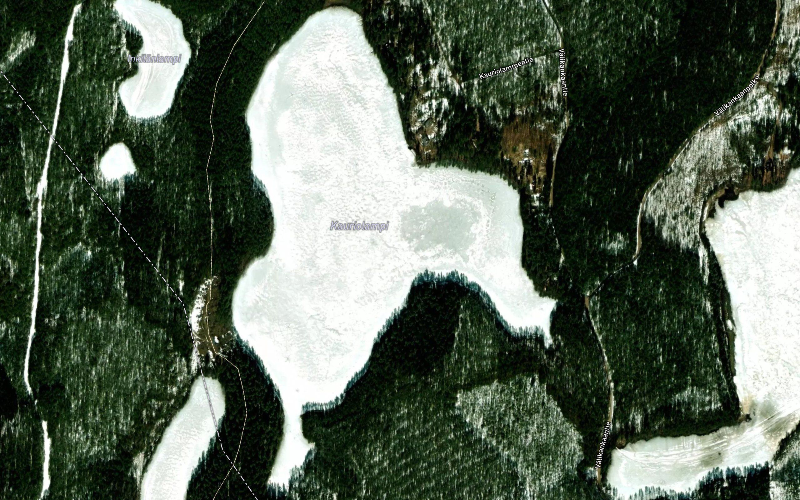 Kauriolampi