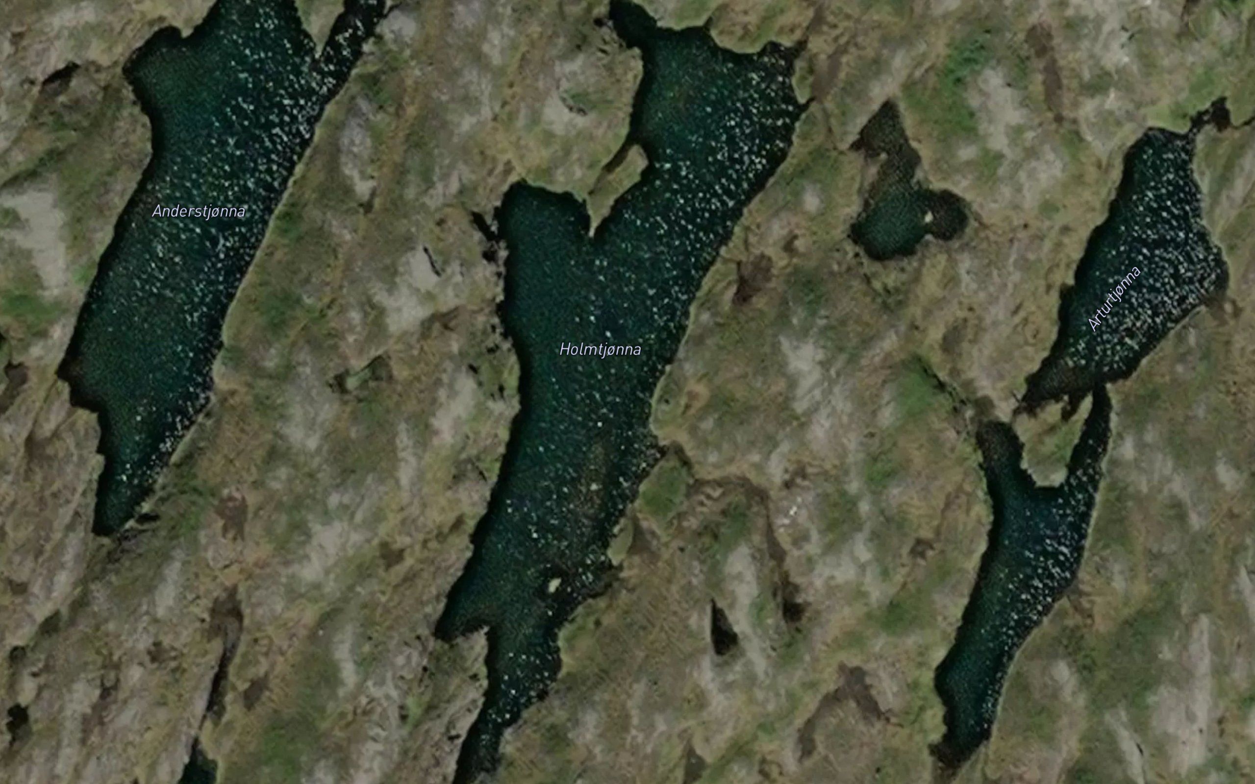 Holmtjonna