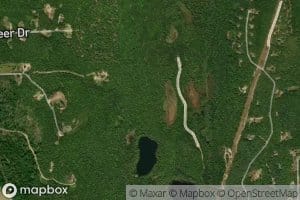 Cranberry Bog