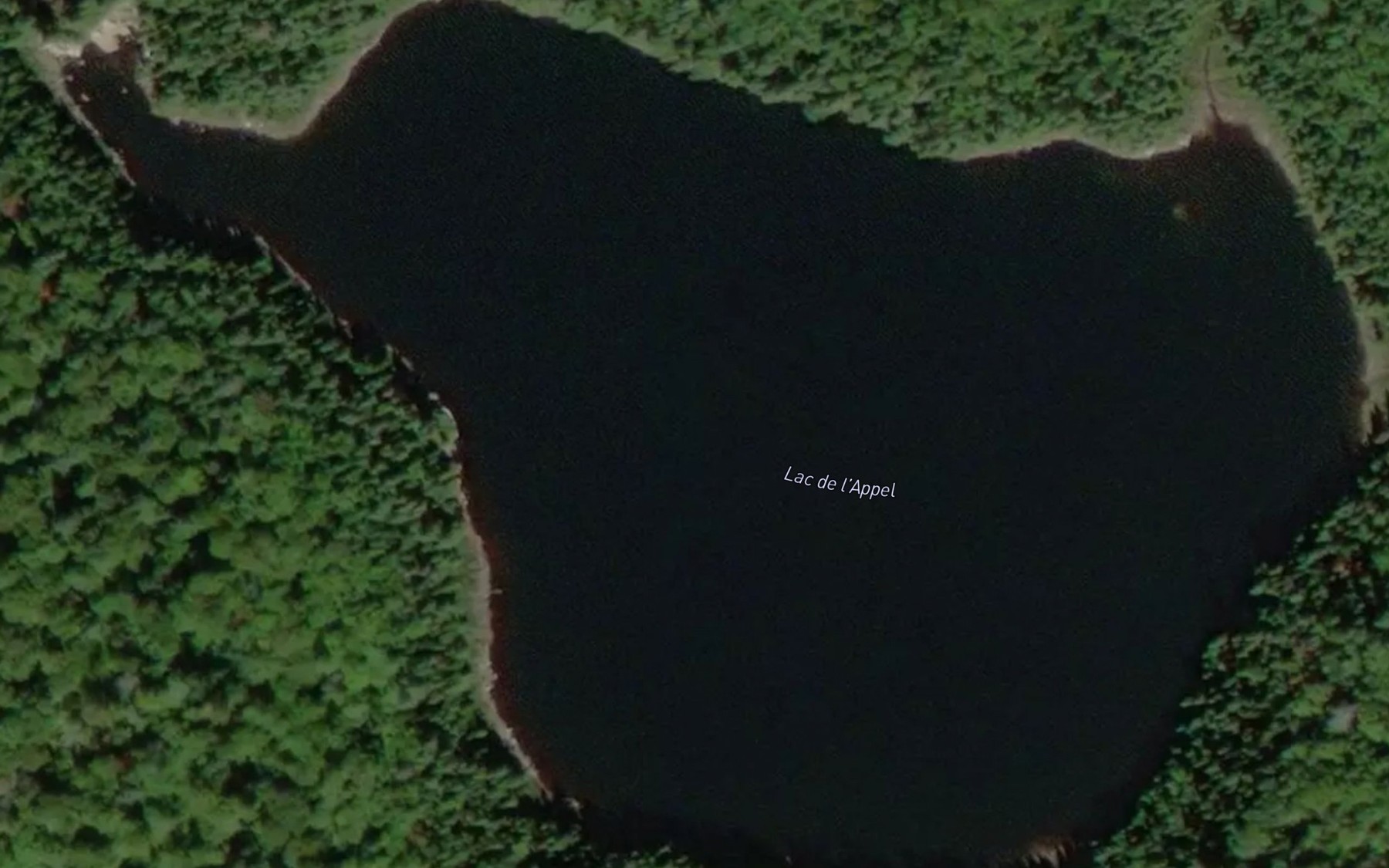 Satellite map of the Lac de l'Appel