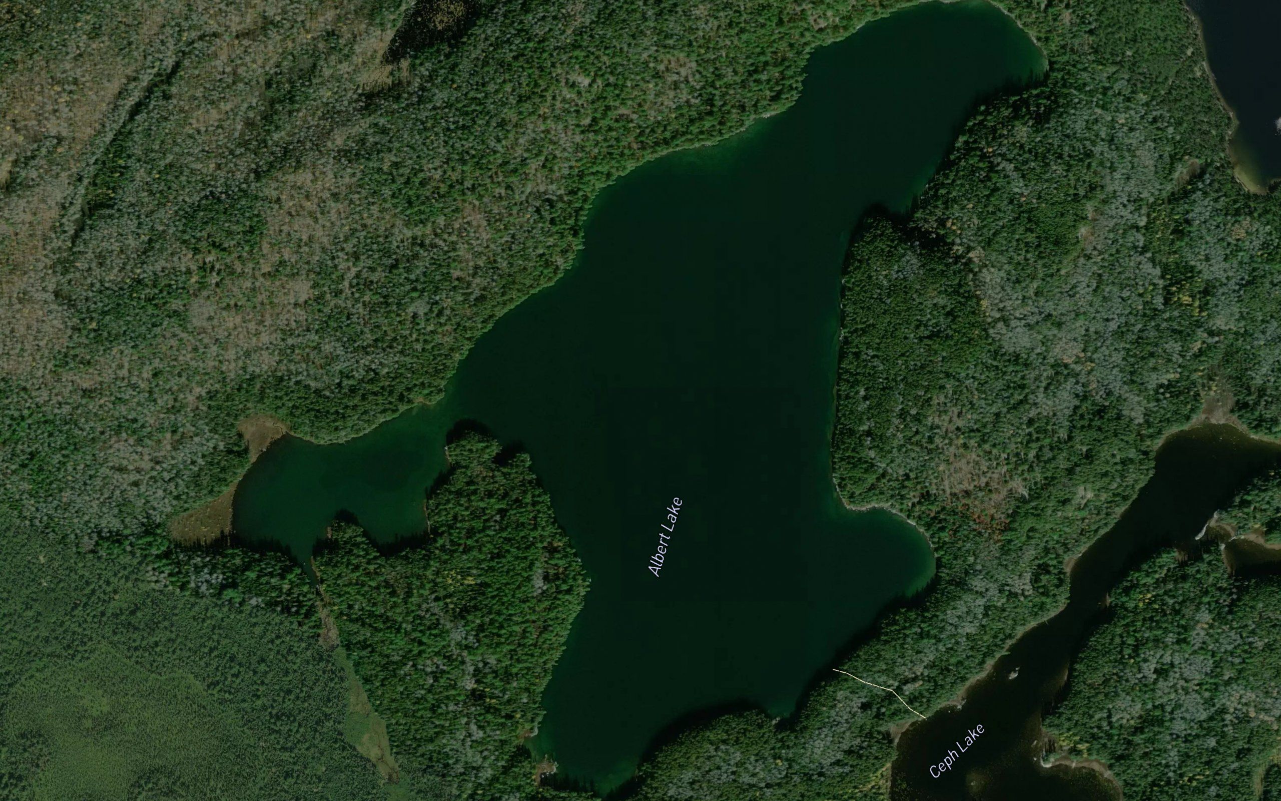Albert Lake