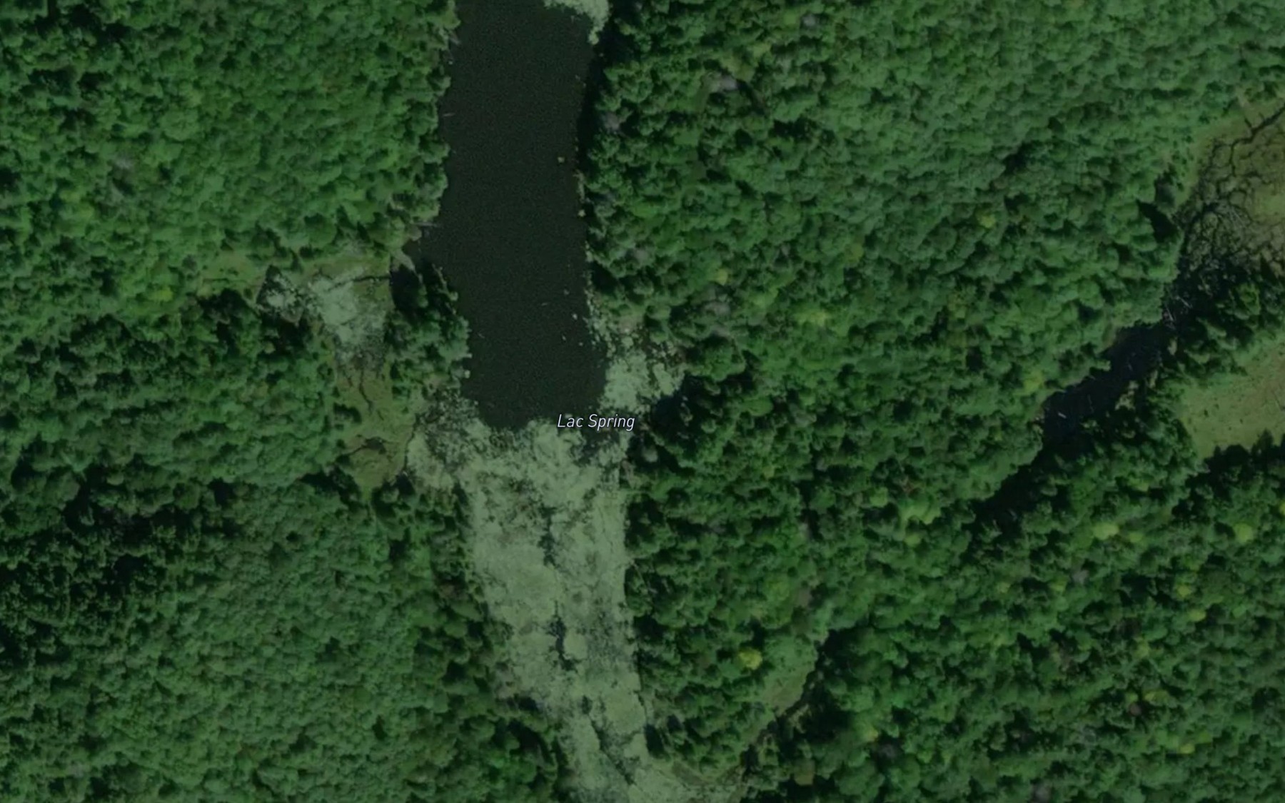 Satellite map of the Lac Spring