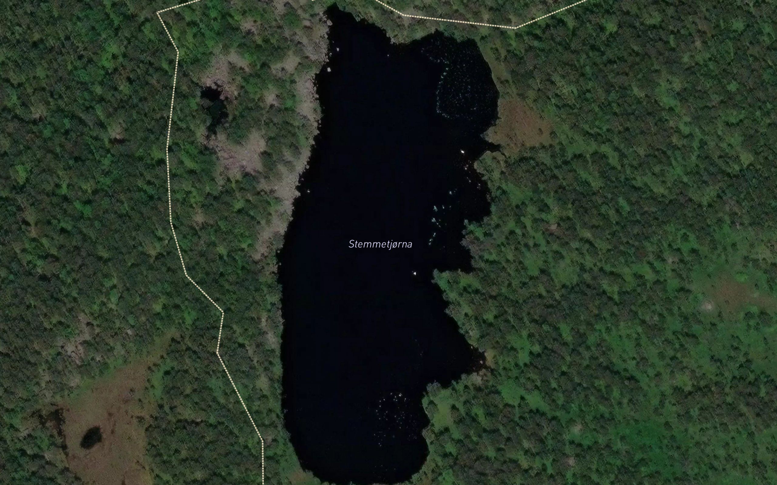 Stemmetjorna