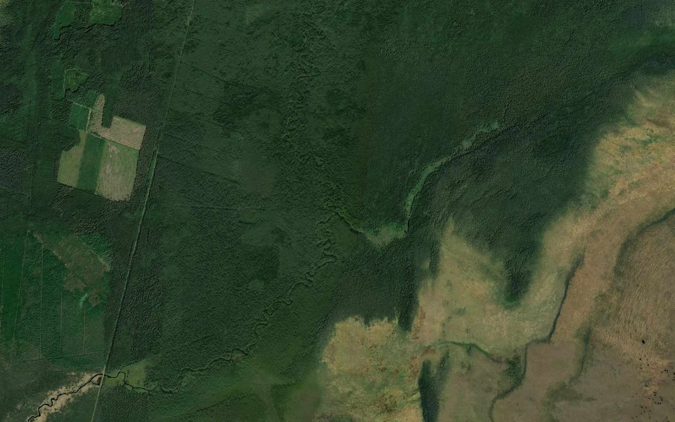 Cherneyka