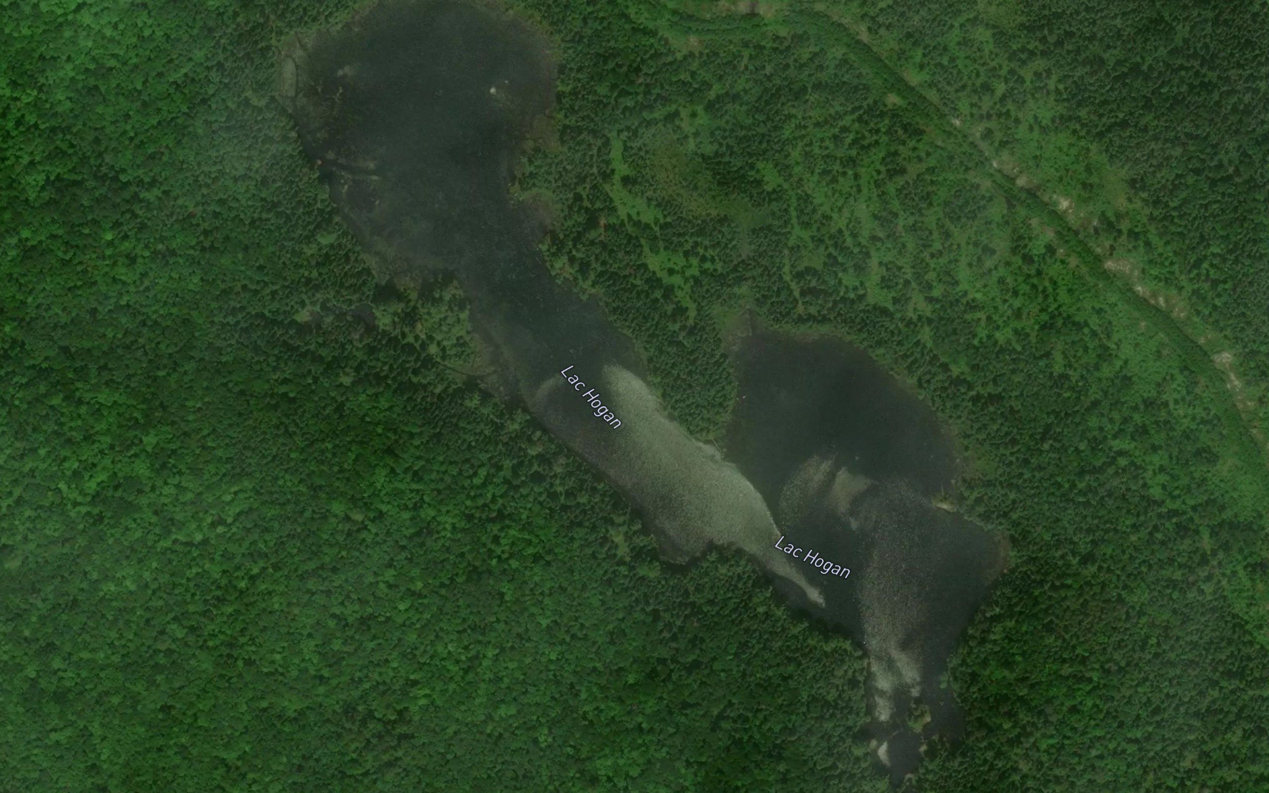 Lac Hogan