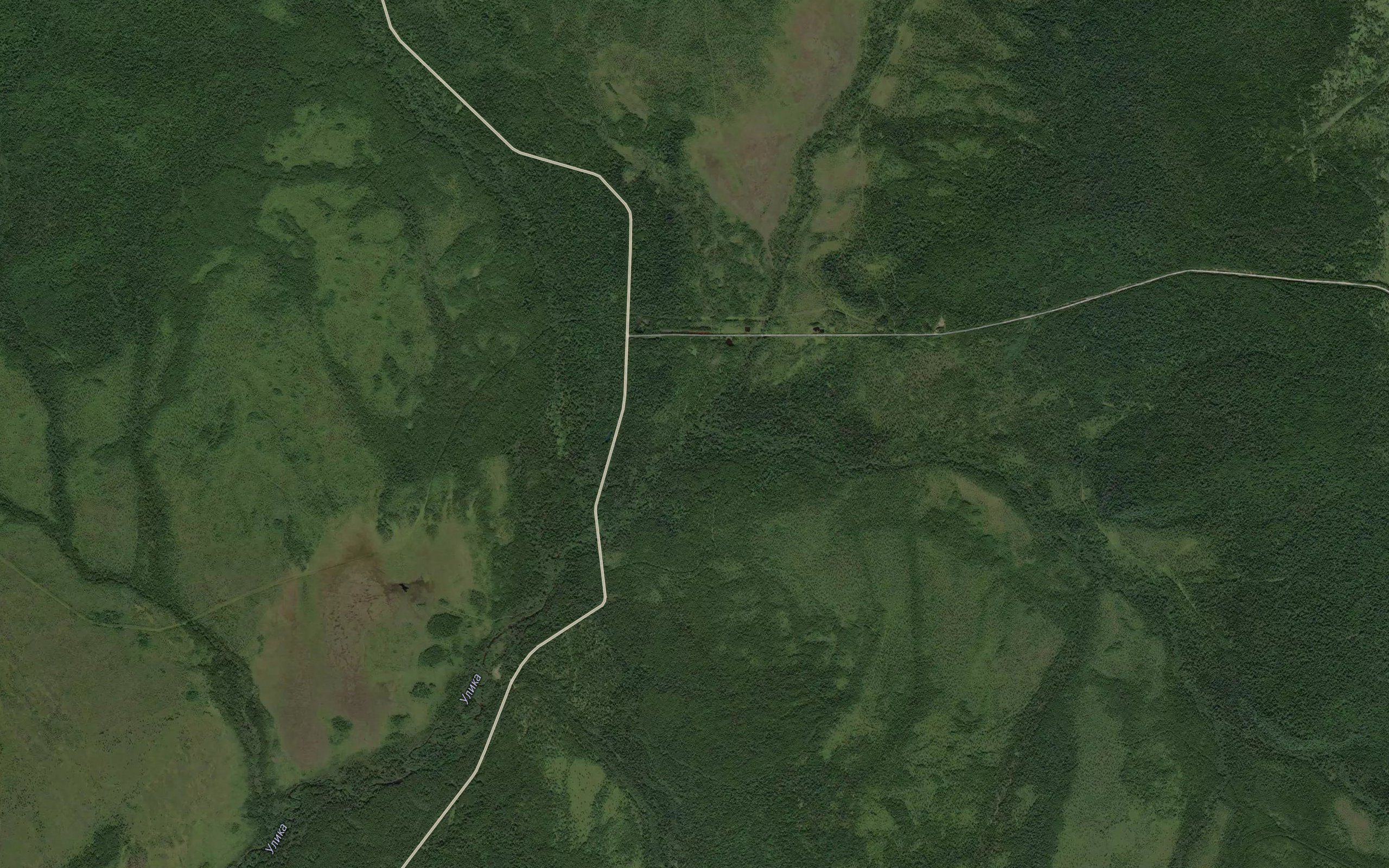 Levaya Ilga