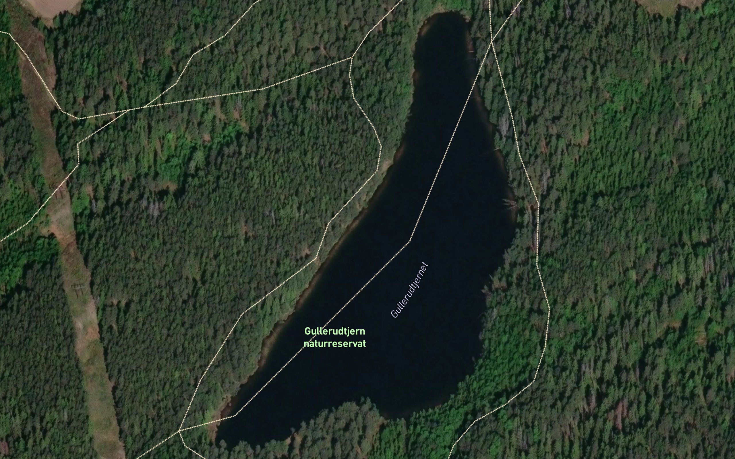 Gullerudtjernet
