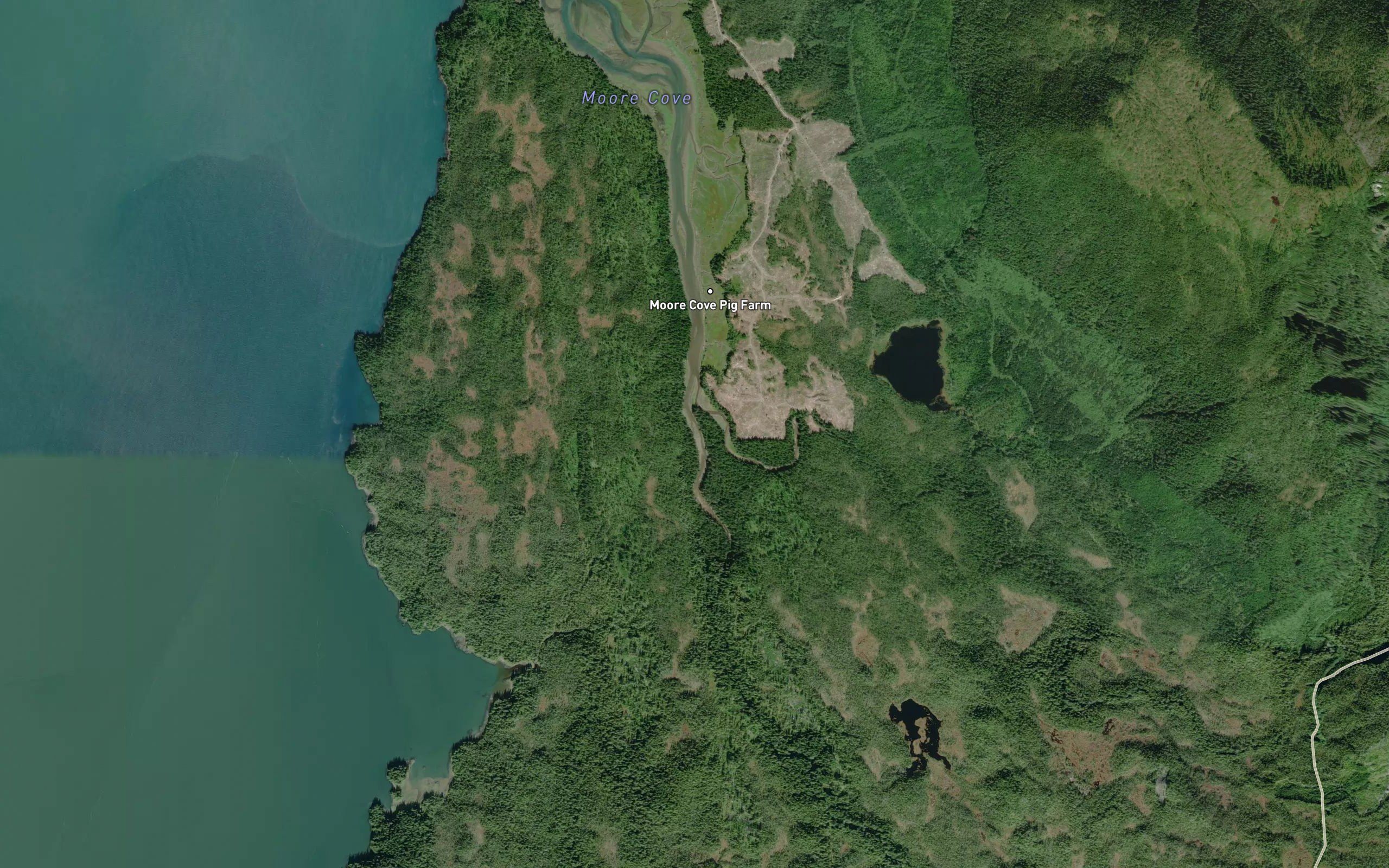Moore Cove Creek