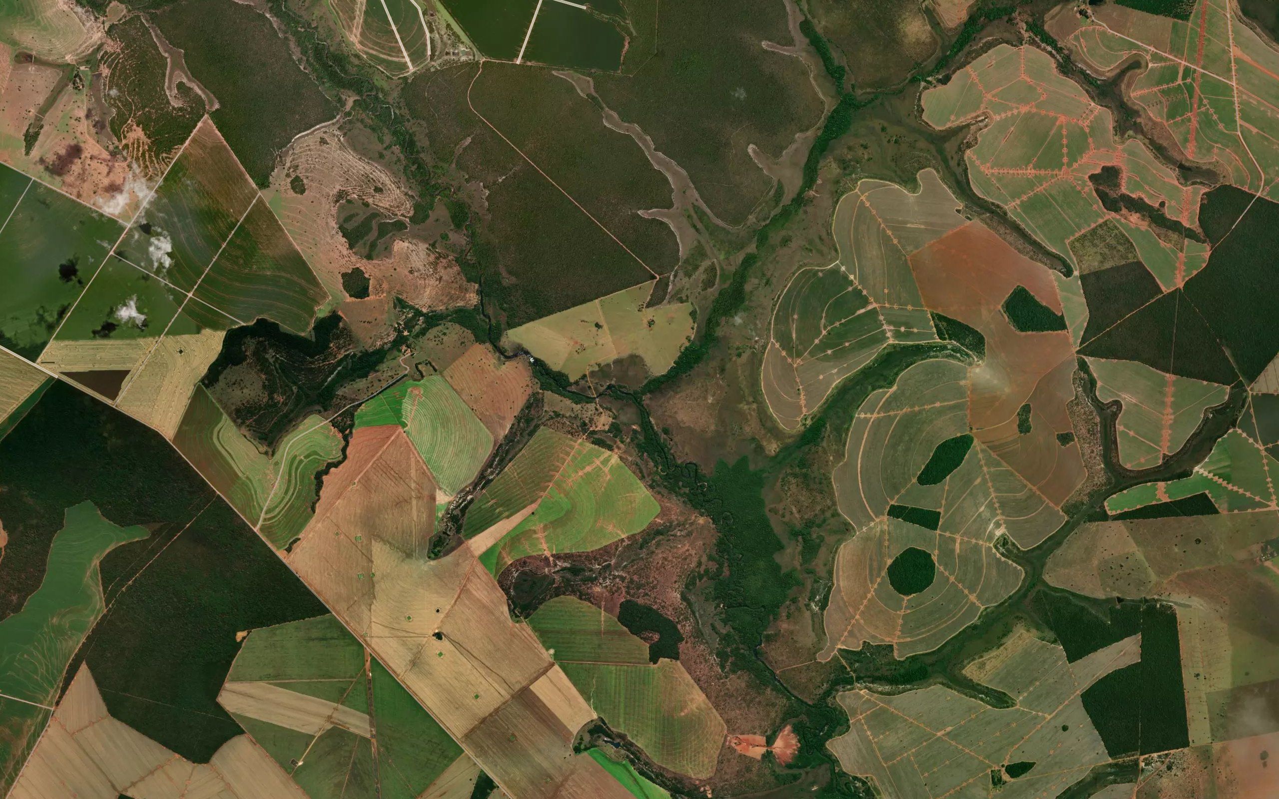 Ribeirao da Preta