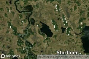 Lomstjorna