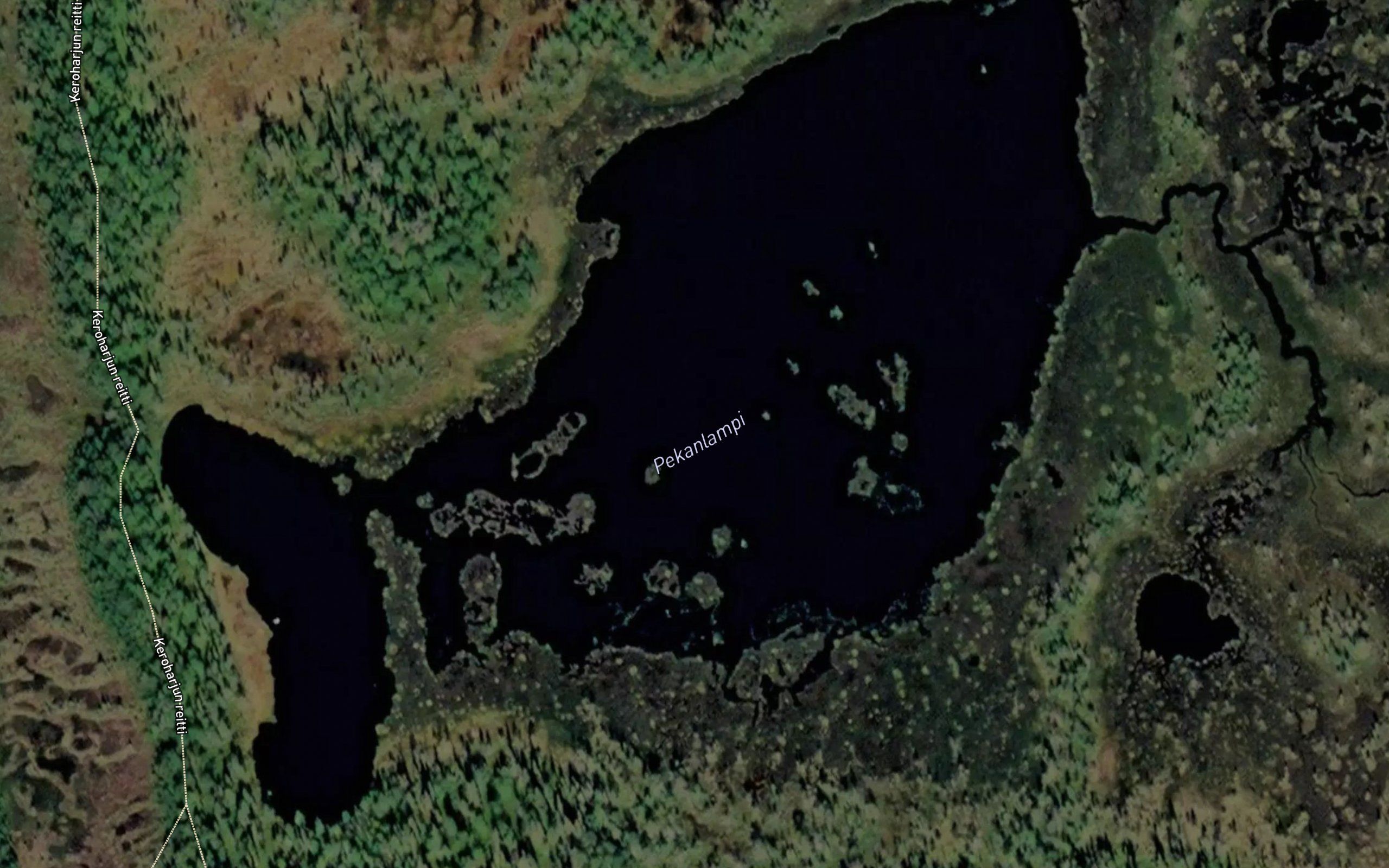 Pekanlampi