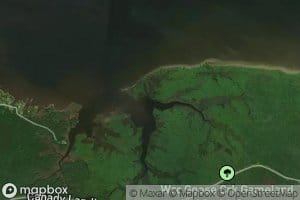 East Prong Cypress Branch