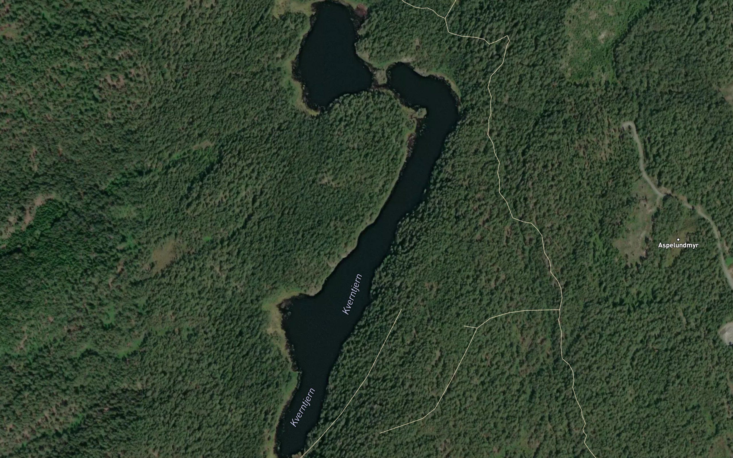 Kverntjern