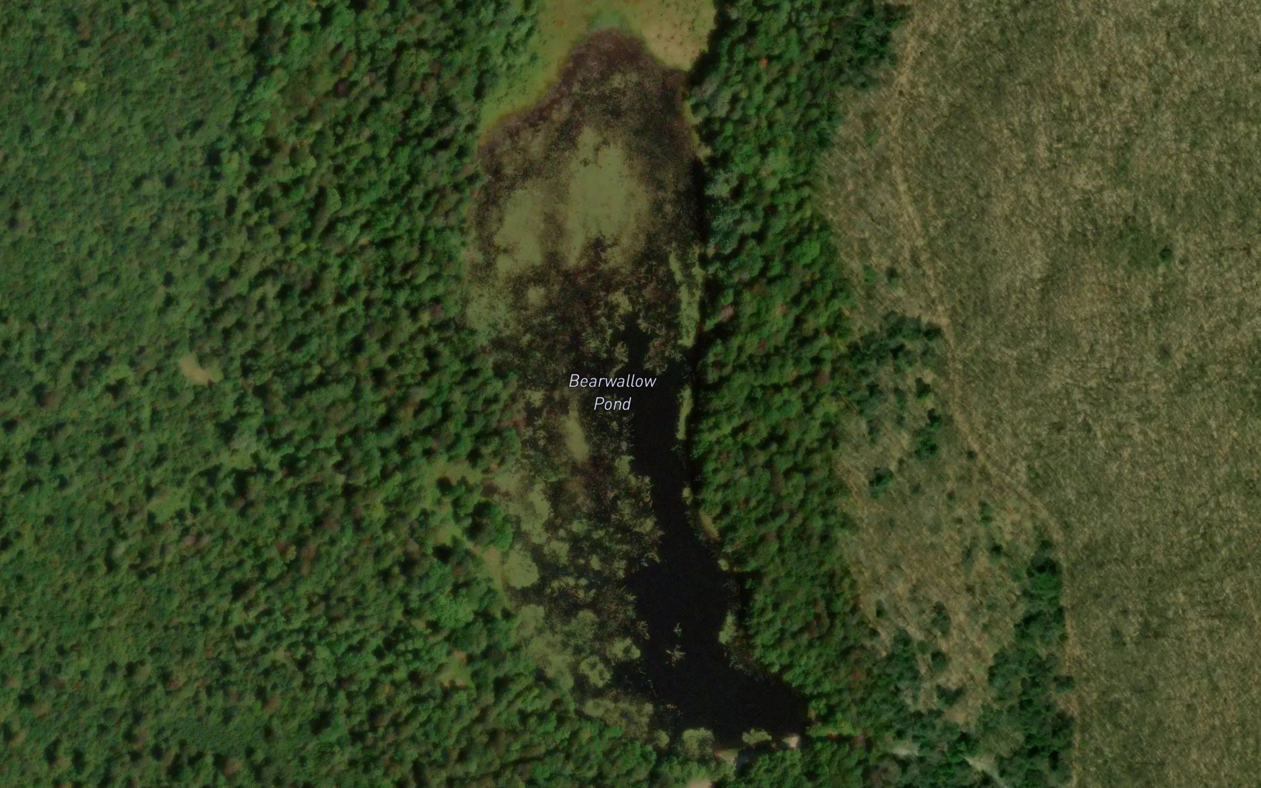Bearwallow Pond