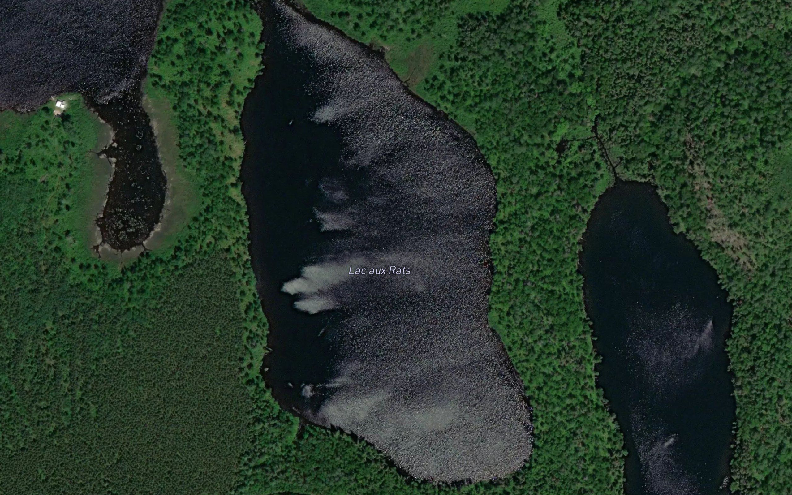 Lac aux Rats