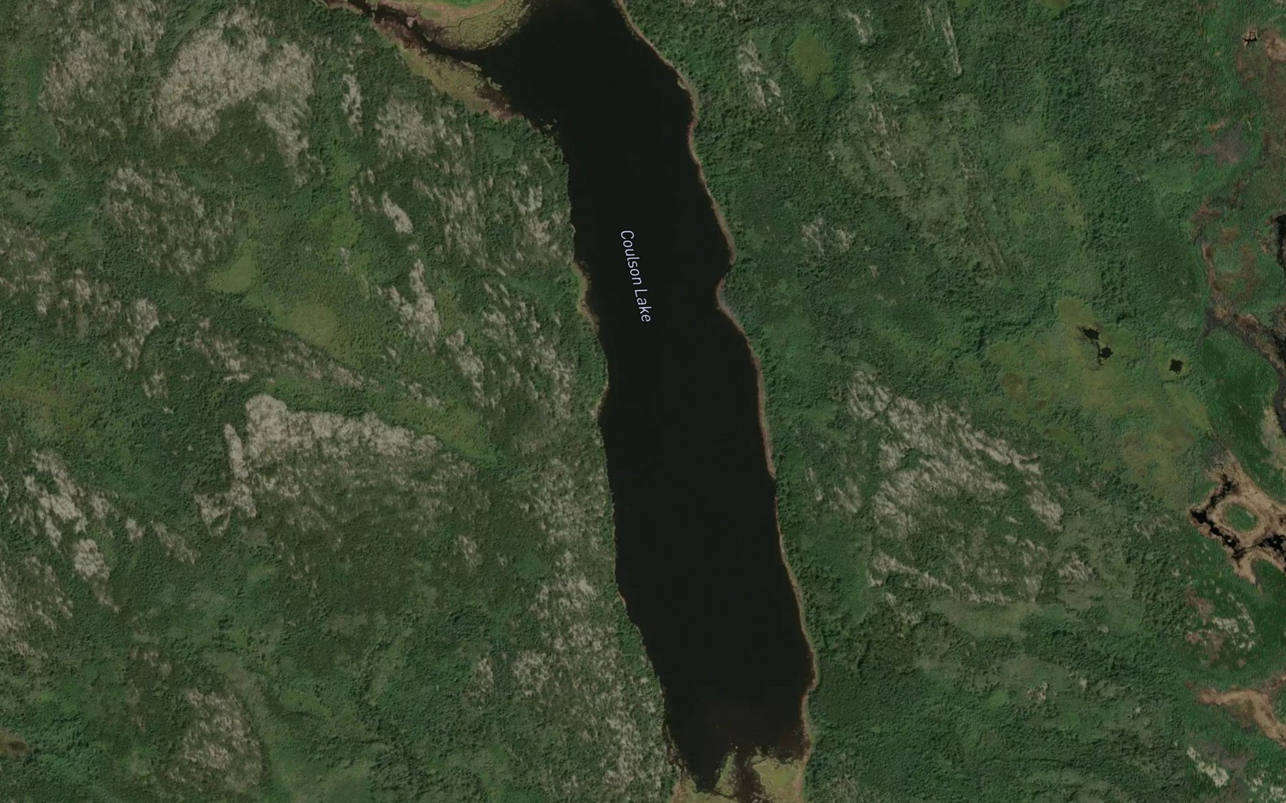Satellite map of the Coulson Lake