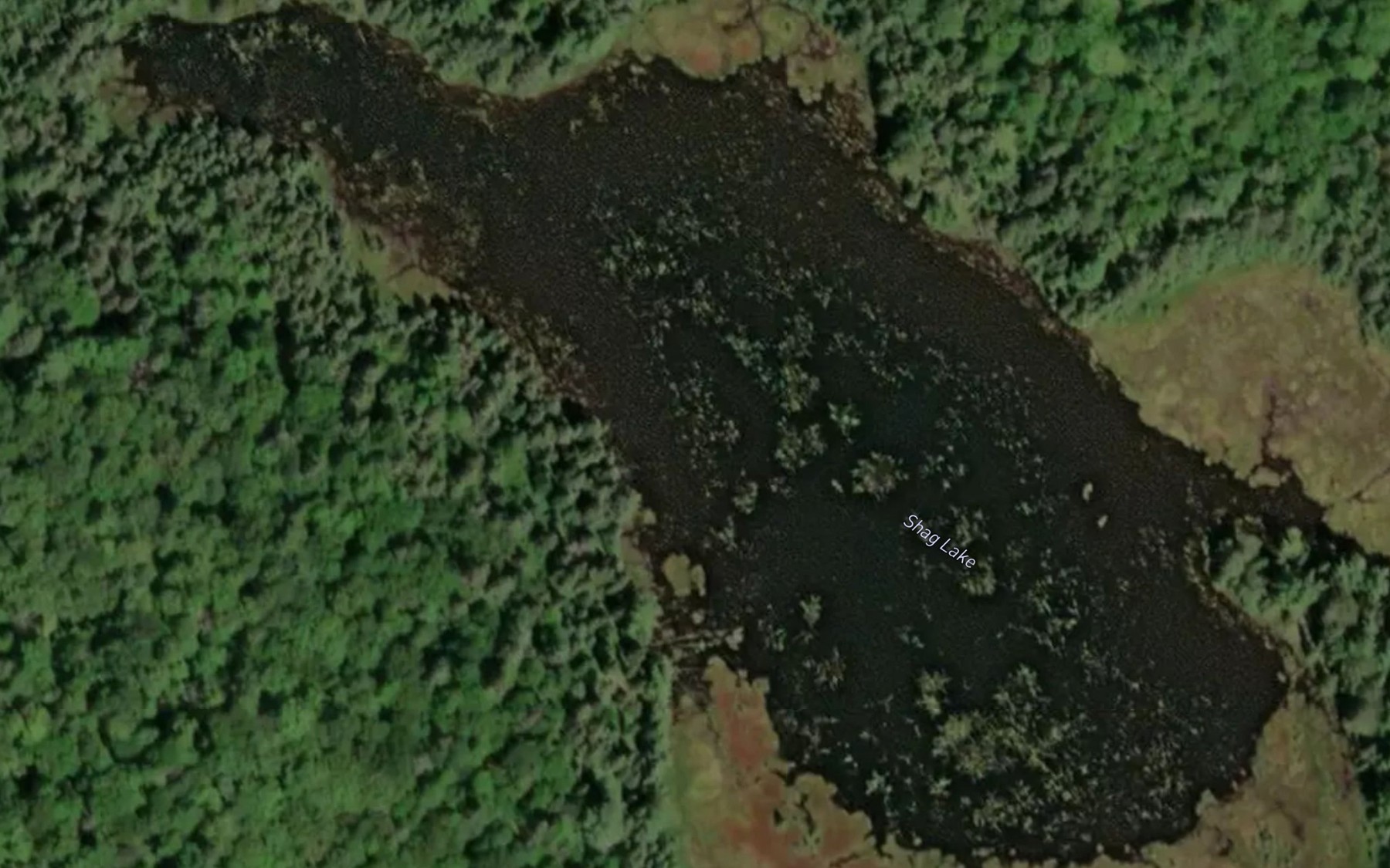Satellite map of the Shag Lake
