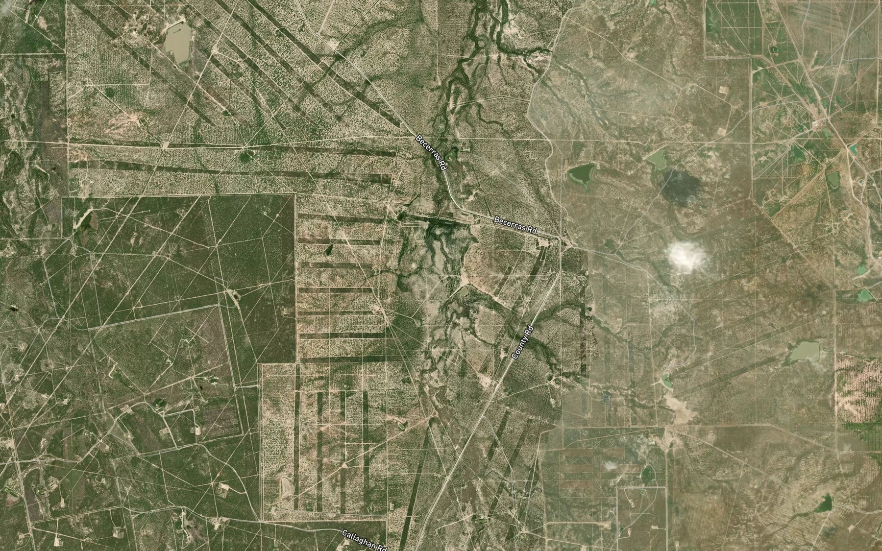 Satellite map of the Nicholson Lake