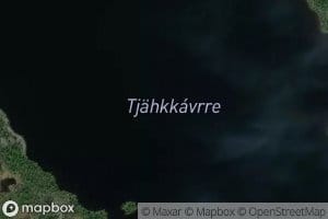 Tjaekkaure