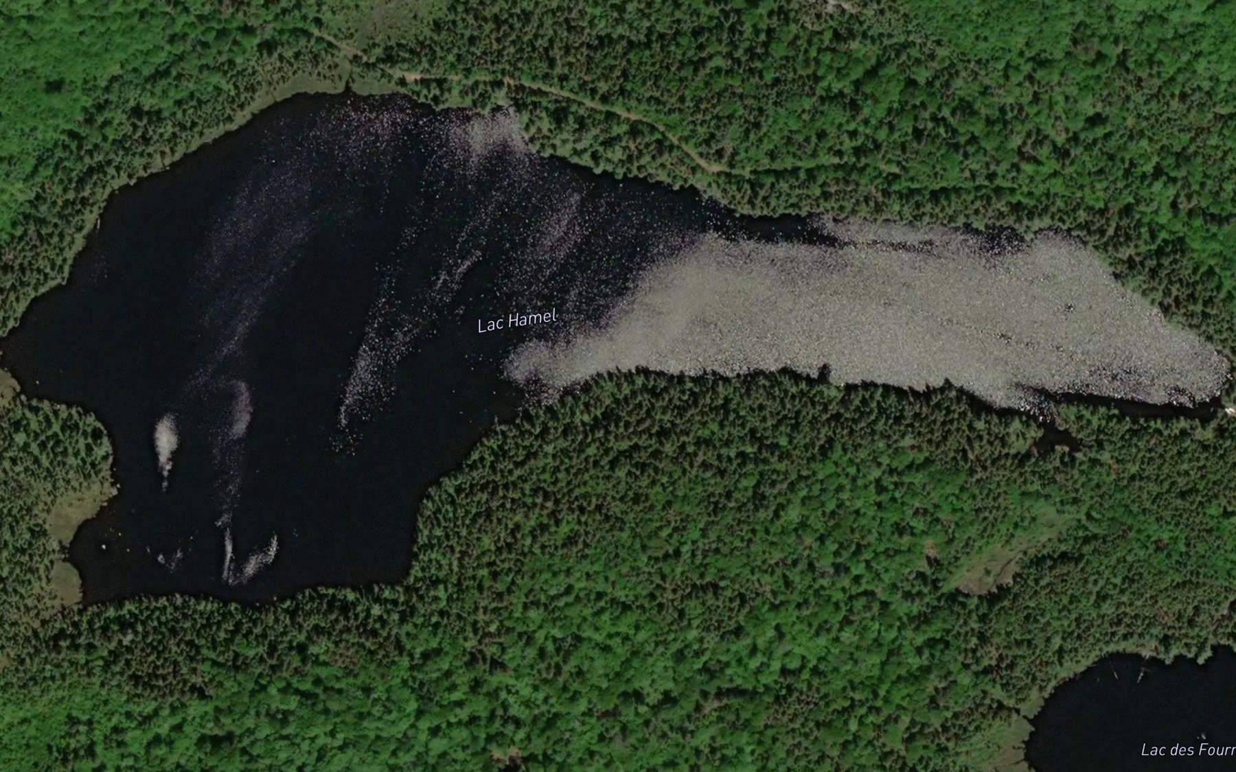 Satellite map of the Lac Hamel