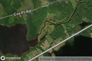 Cumberland Bay Stream