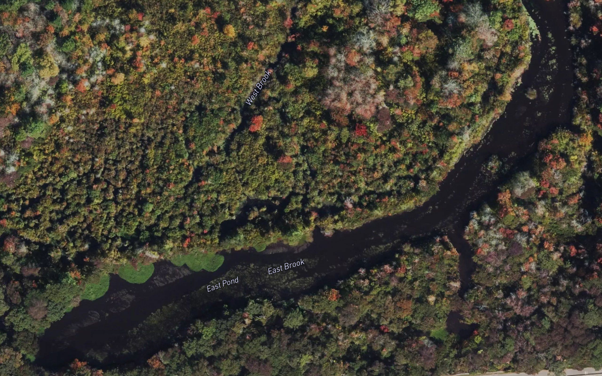 East Pond