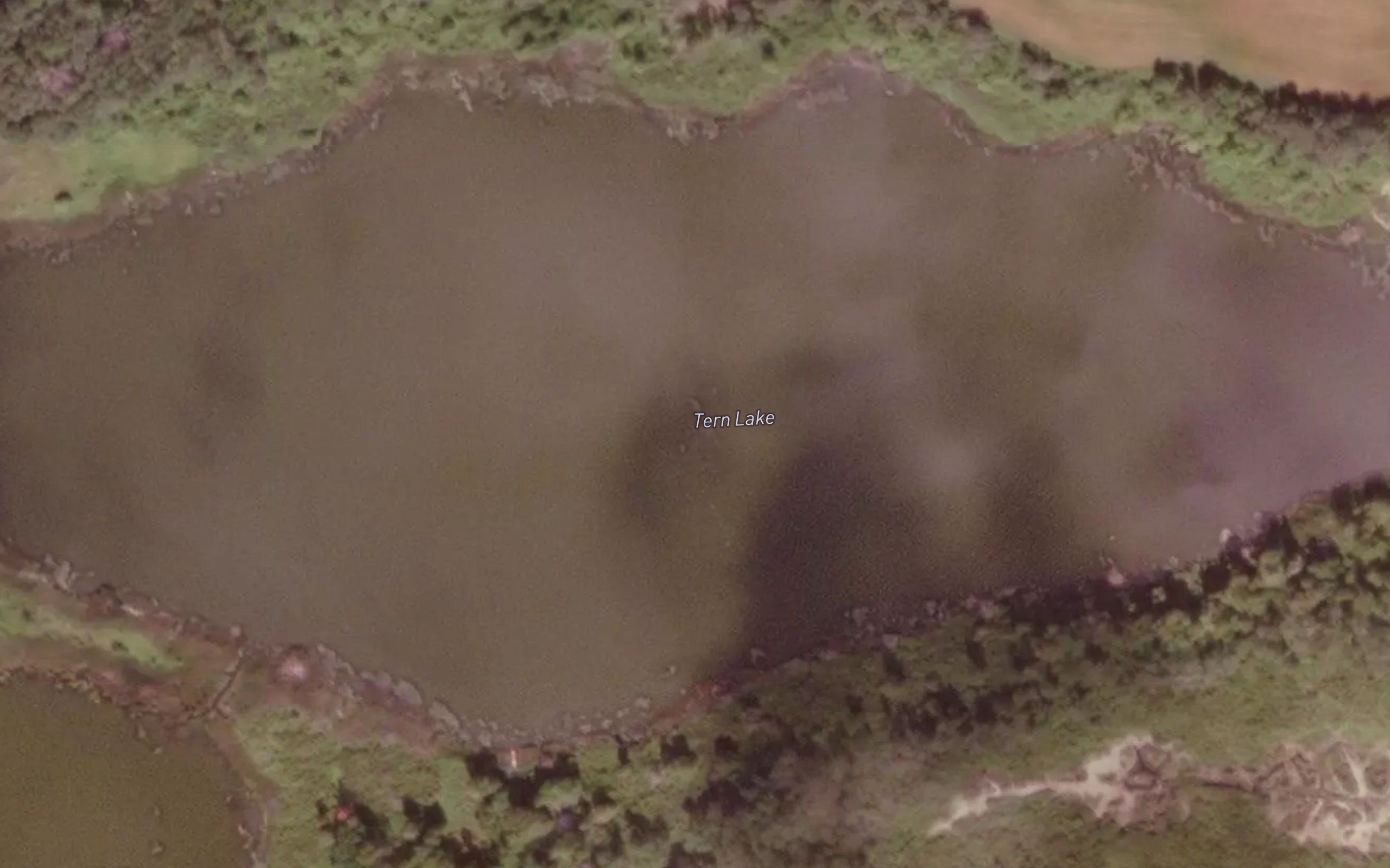 Tern Lake