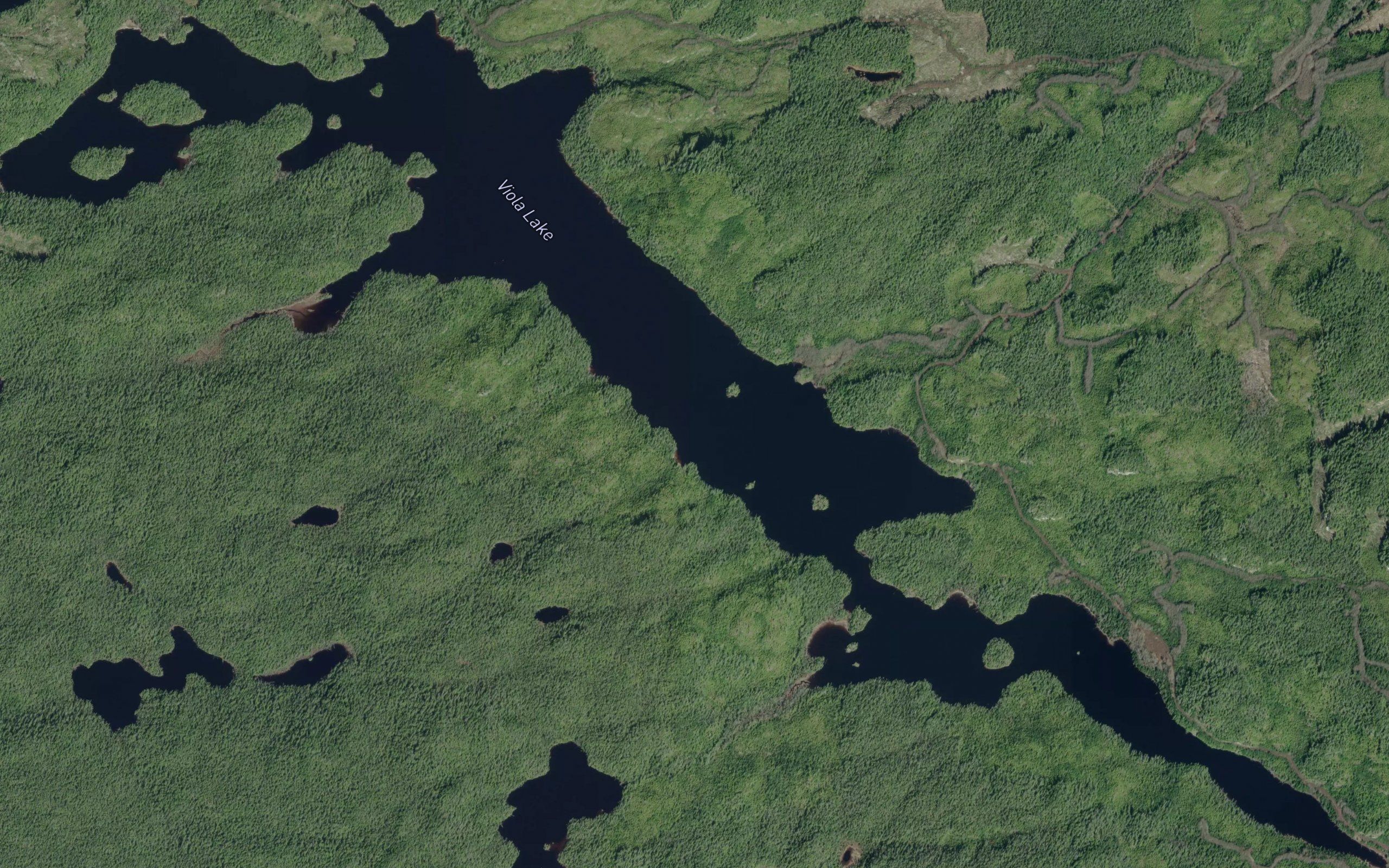 Viola Lake