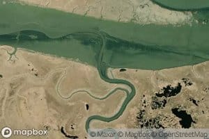 Swampy River