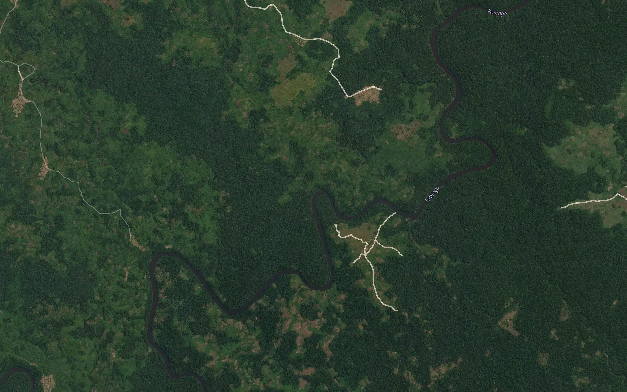 Musongo