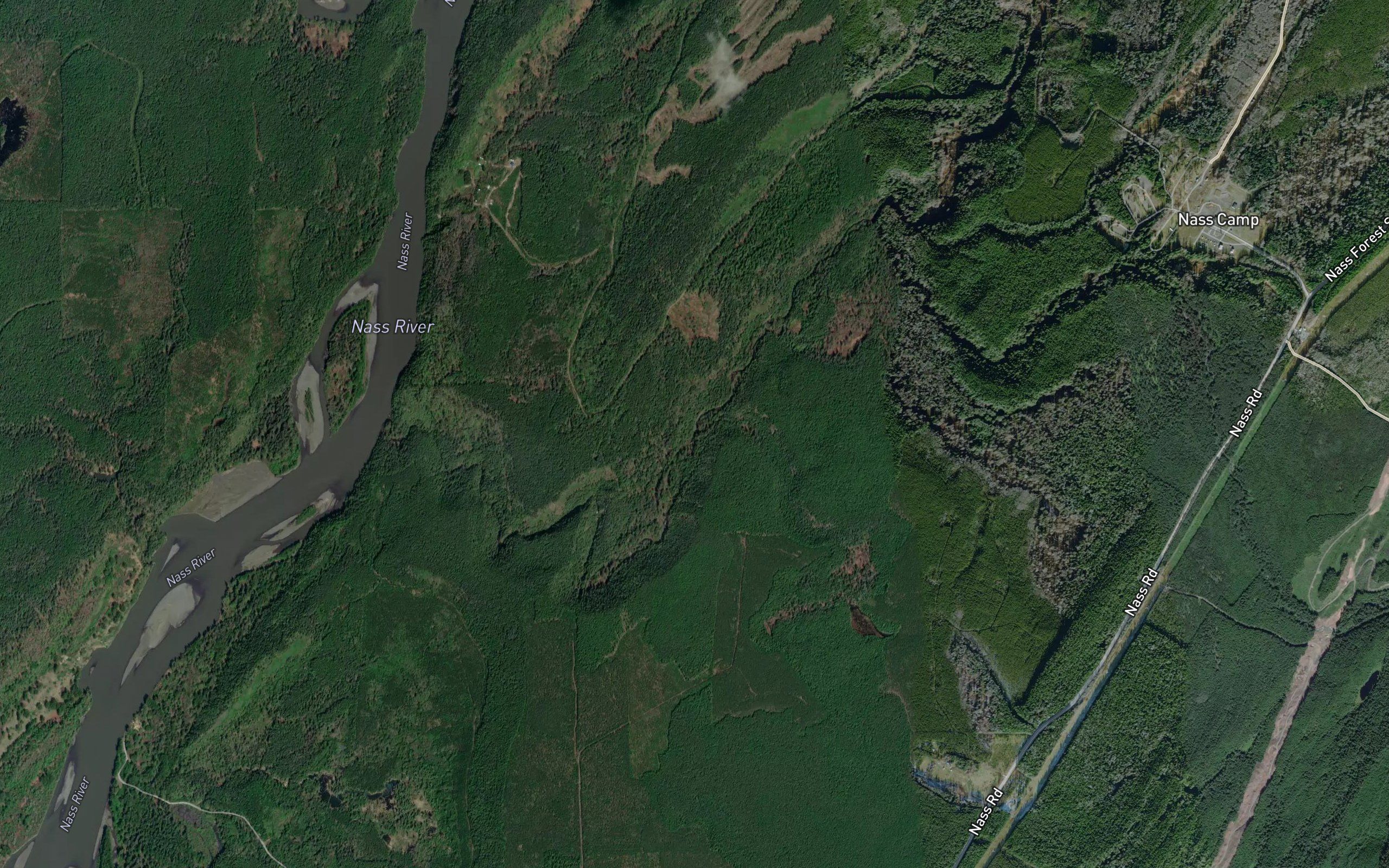 Chigatlque Creek