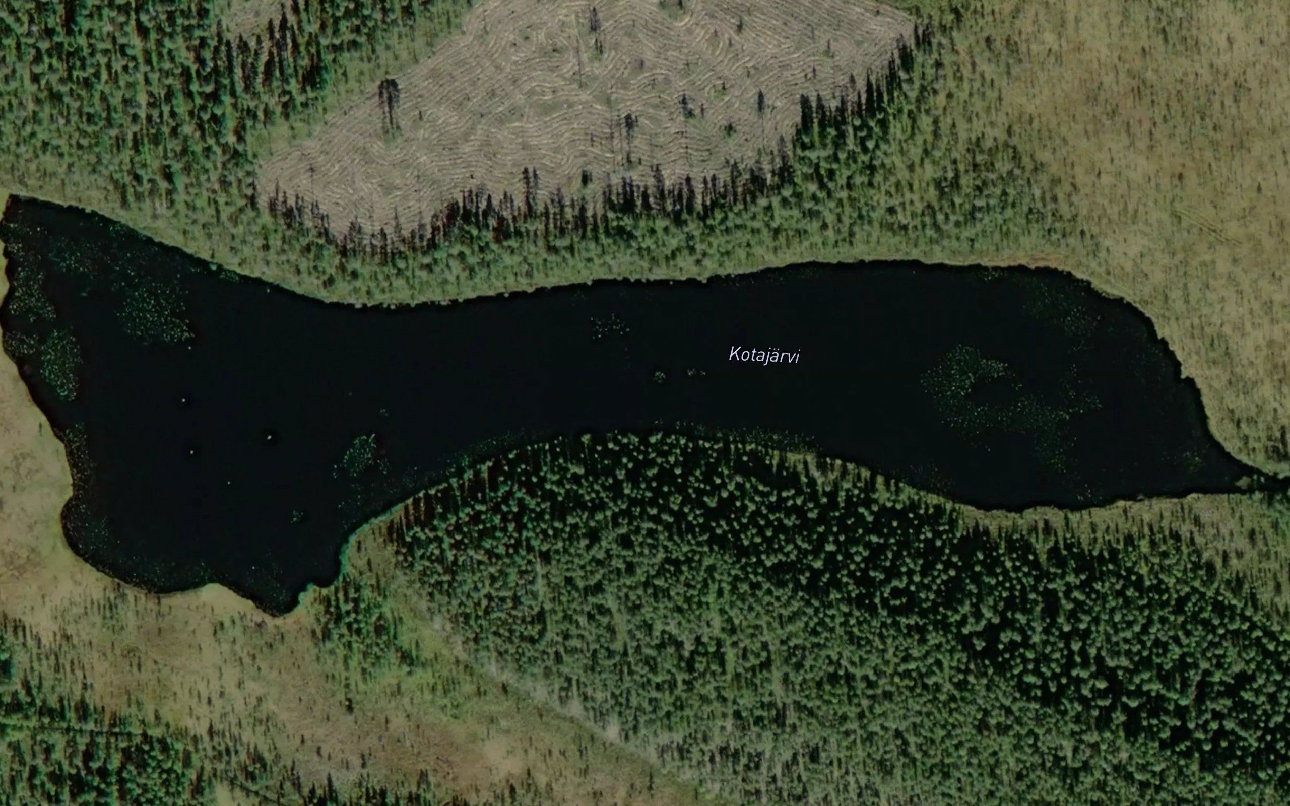 Kotajarvi