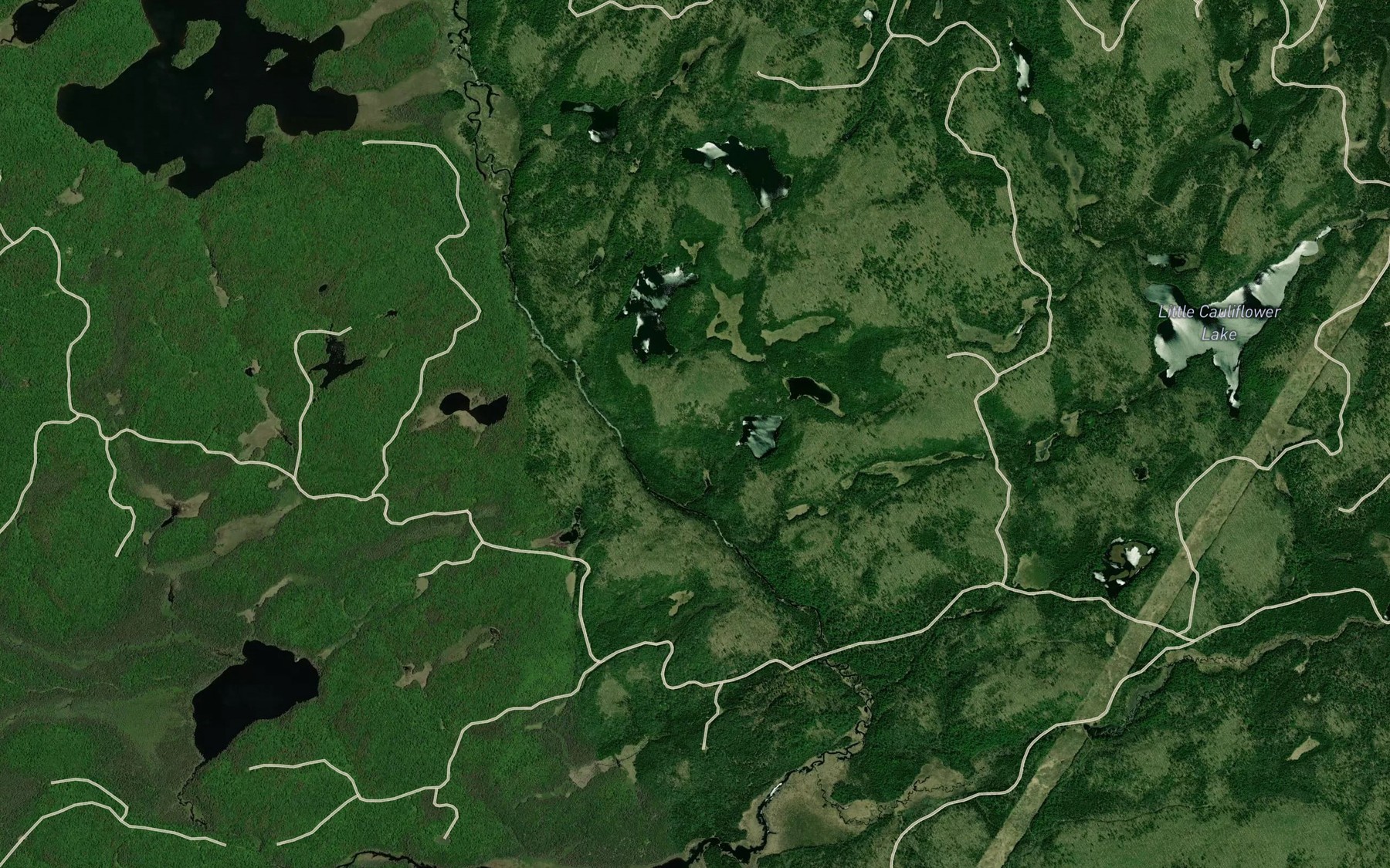 Satellite map of the Dry Lakes