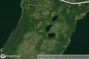 Puffing Pig Ponds