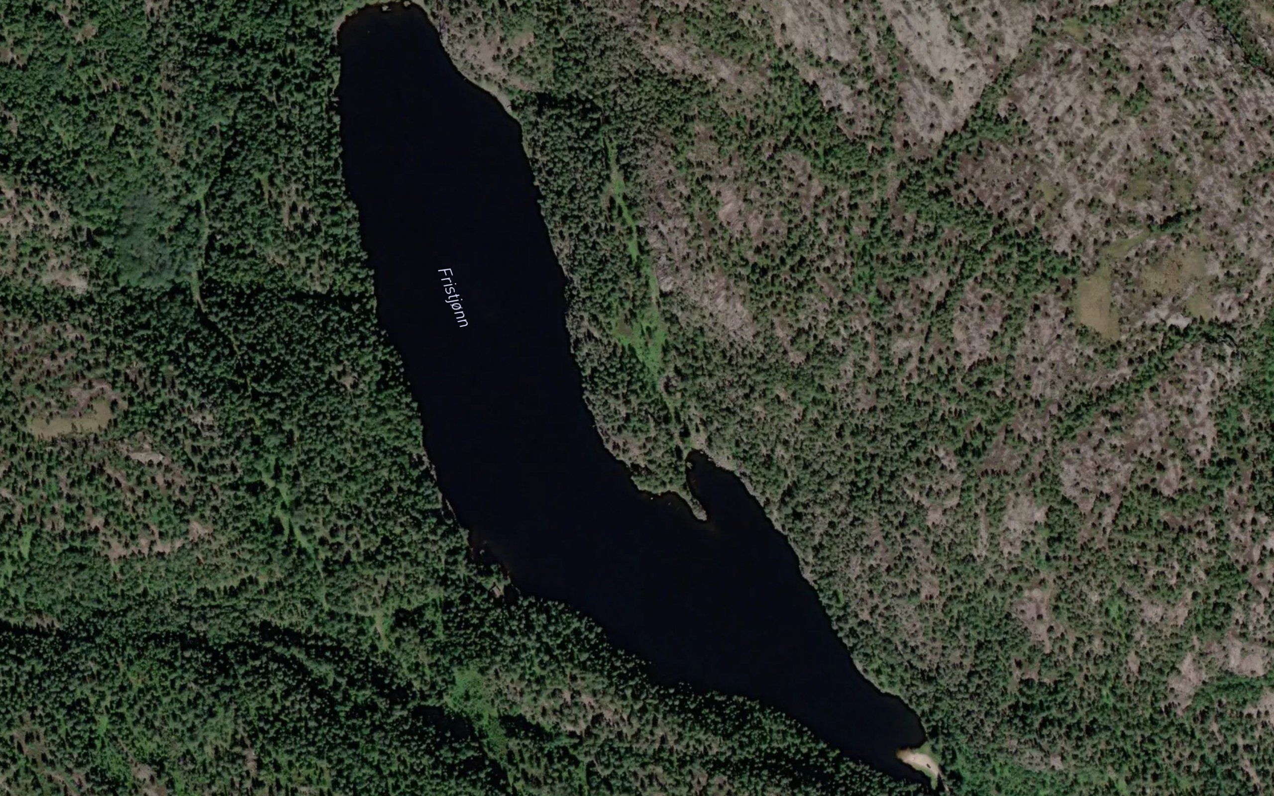 Fristjorn