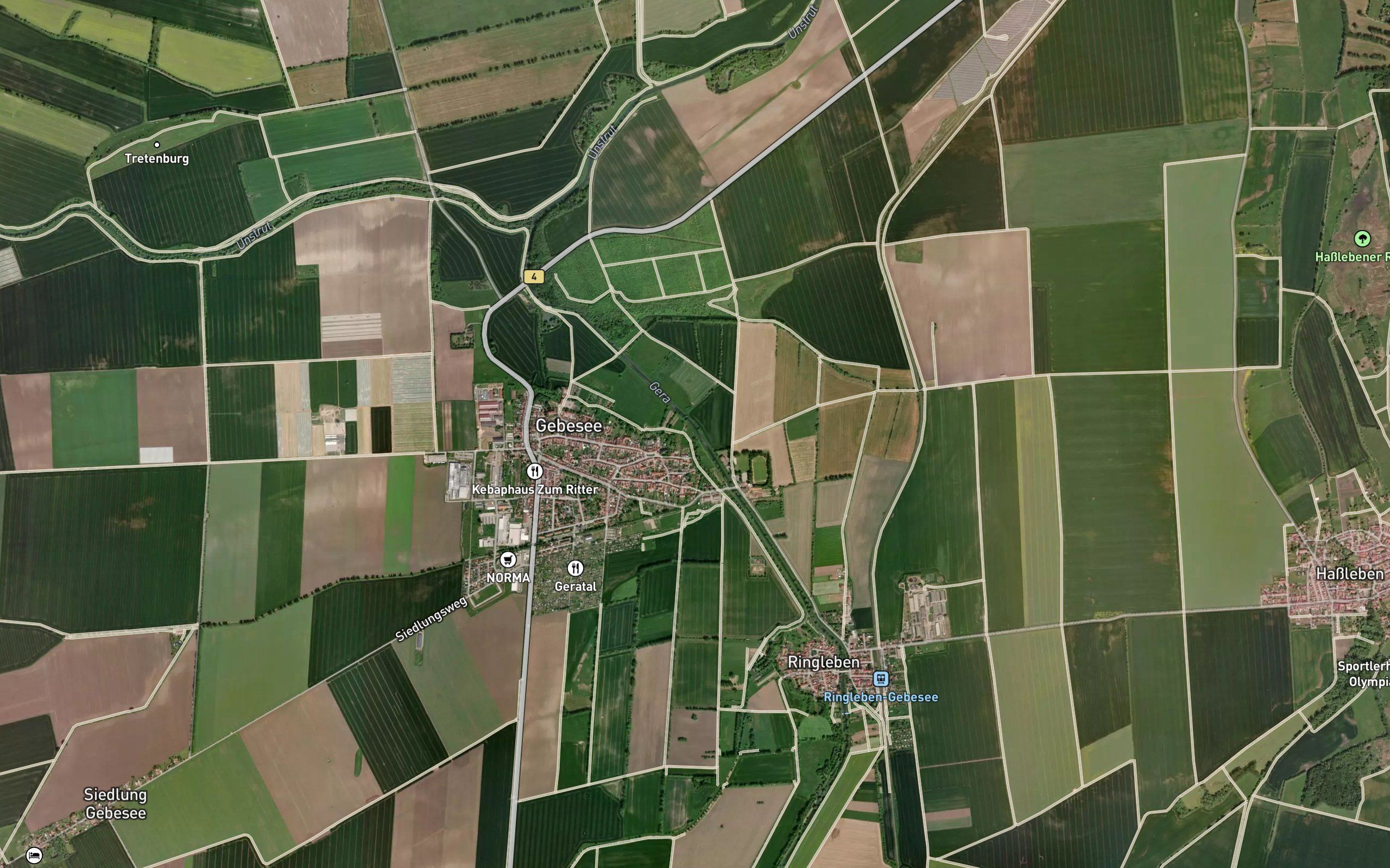 Muhlgera