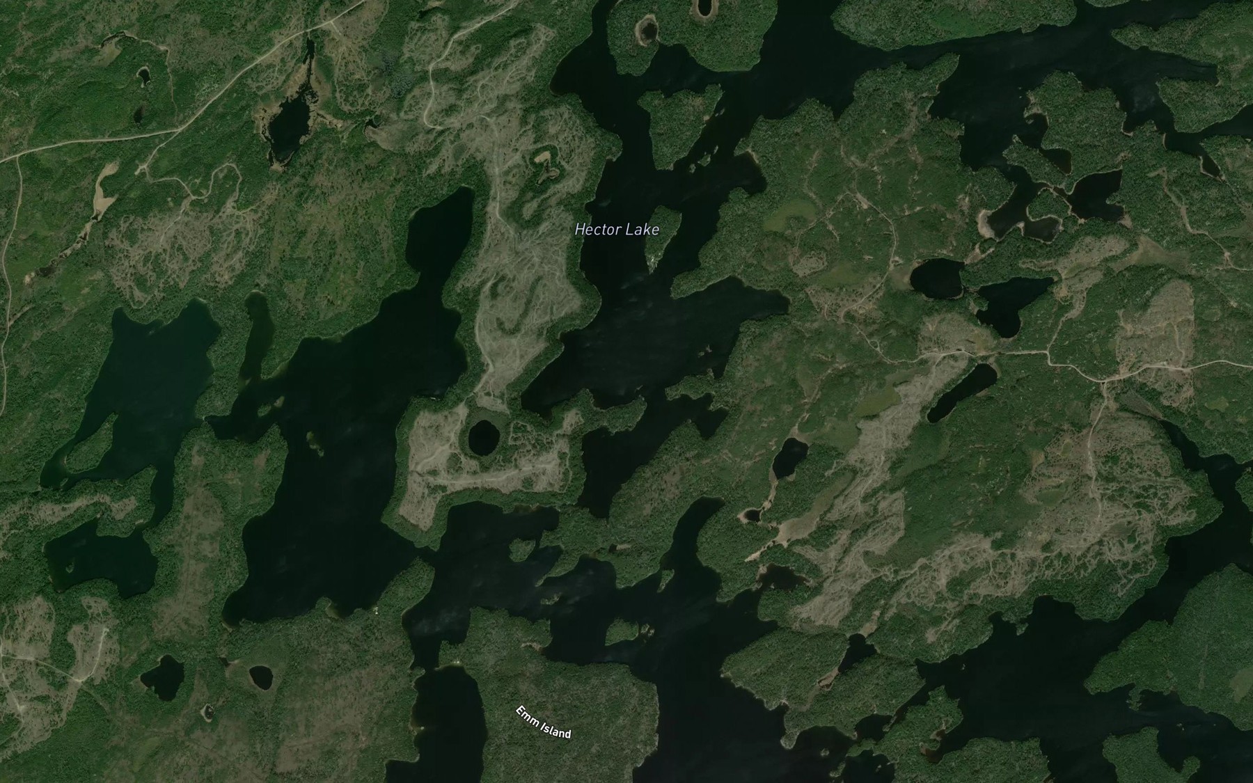 Satellite map of the Forrest Creek