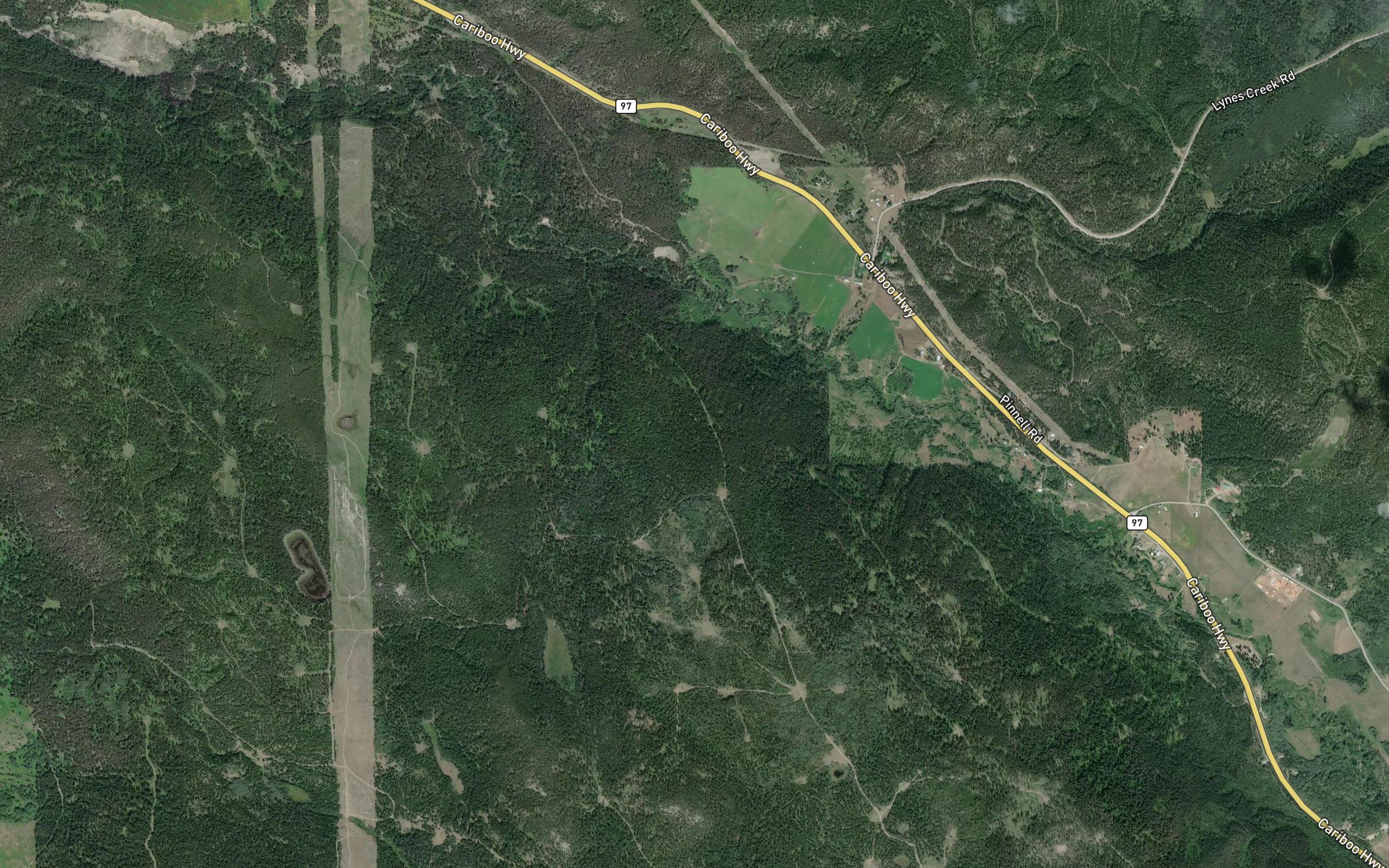 Lyne Creek