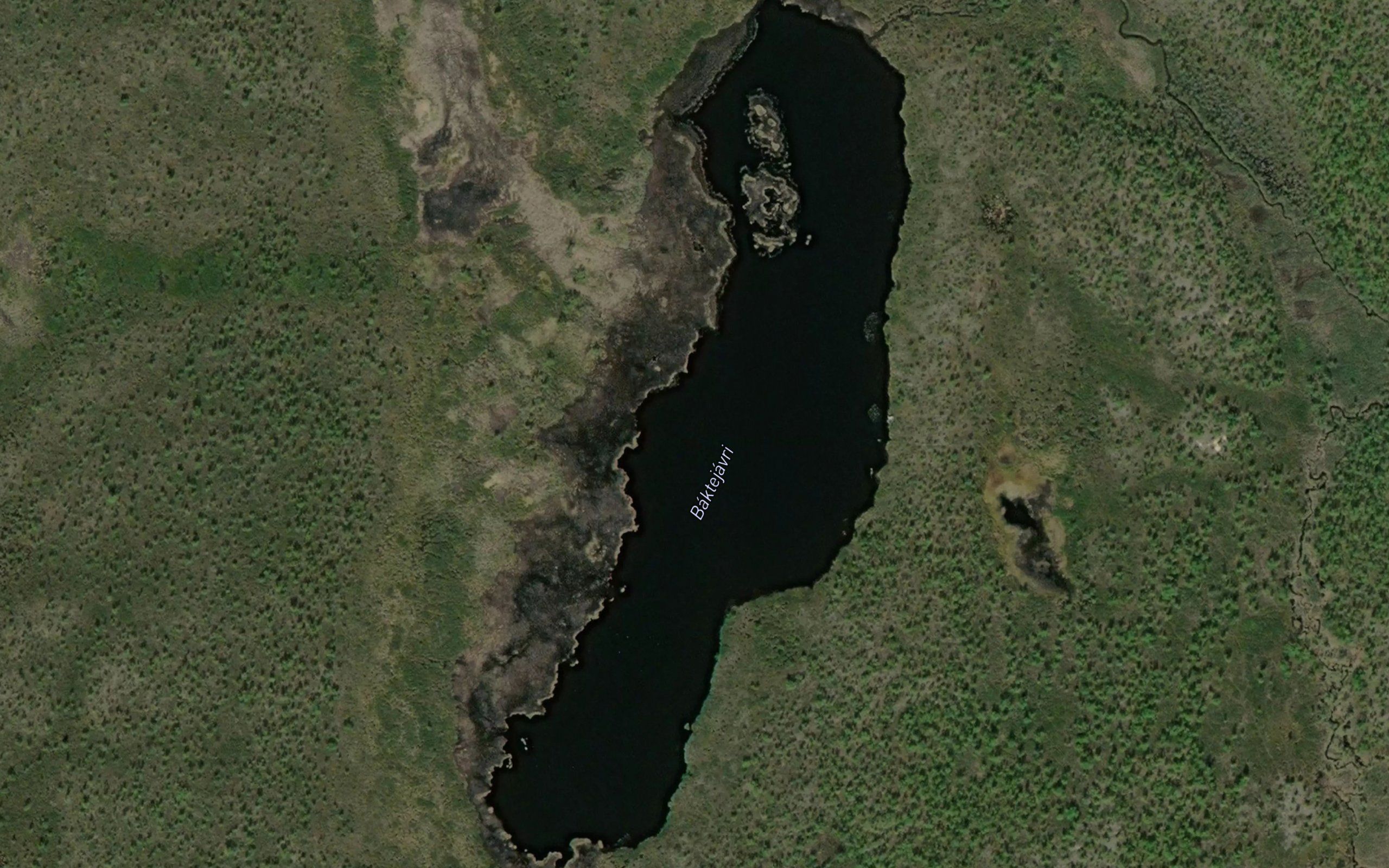 Baktejavri
