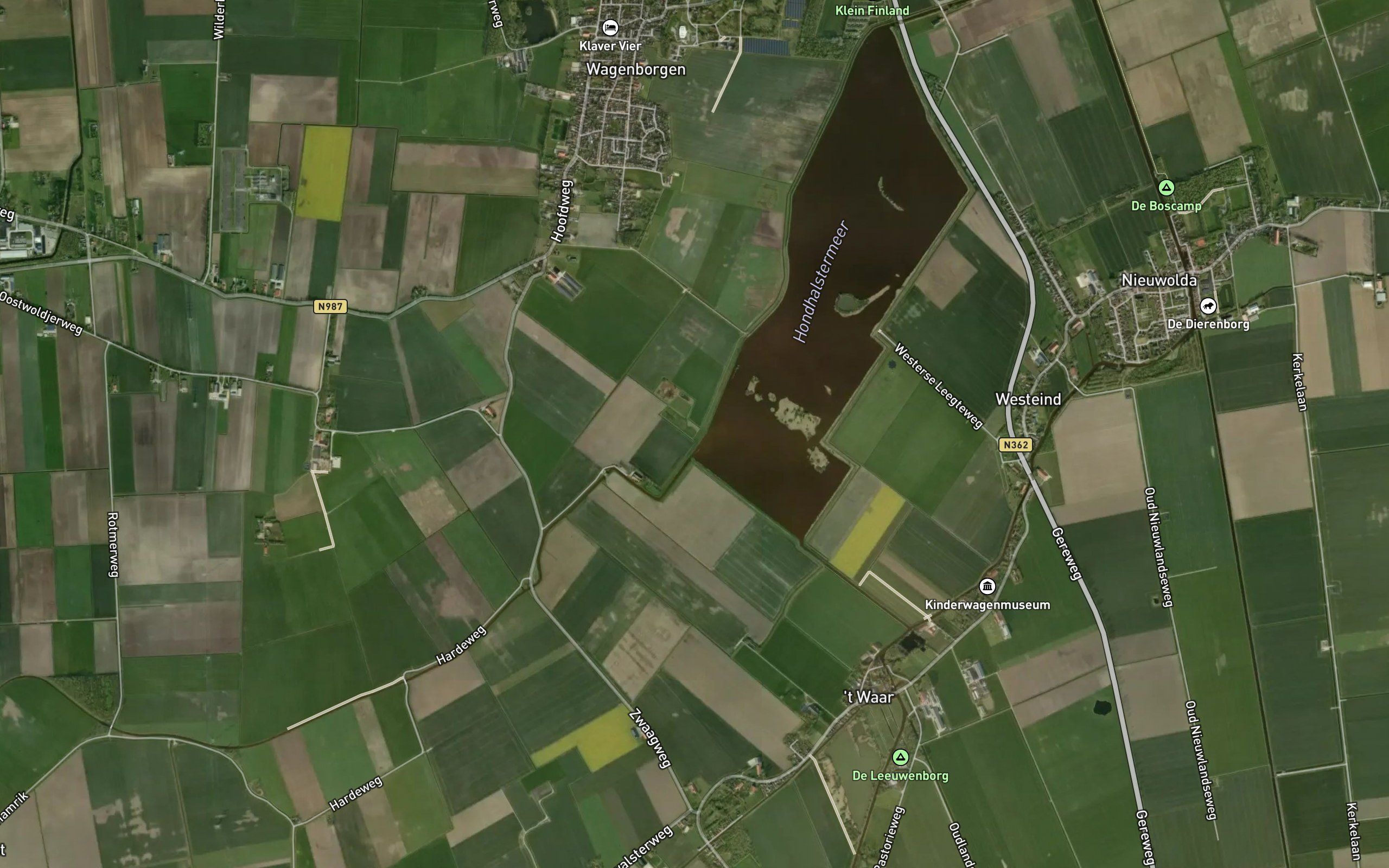 Hondshalstermaar