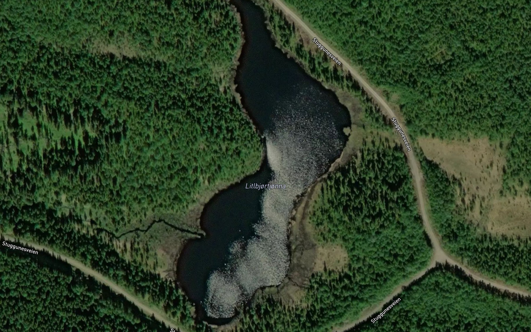 Satellite map of the Bjortjorna,l