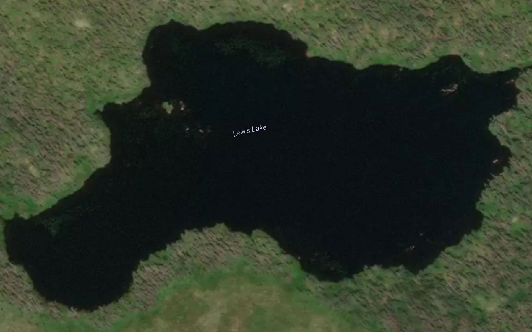 Satellite map of the Lewis Lake
